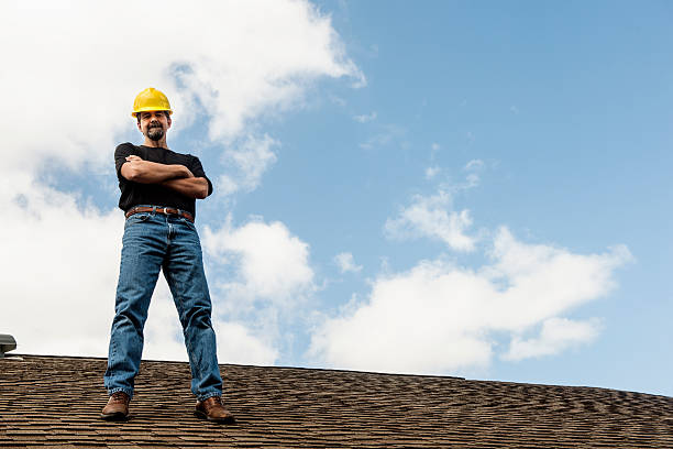 Best Roof Gutter Cleaning  in Ouray, CO